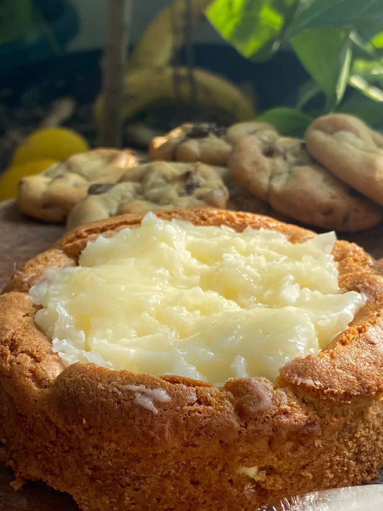 COCONUT CREAM CHEESE (6) COOKIES