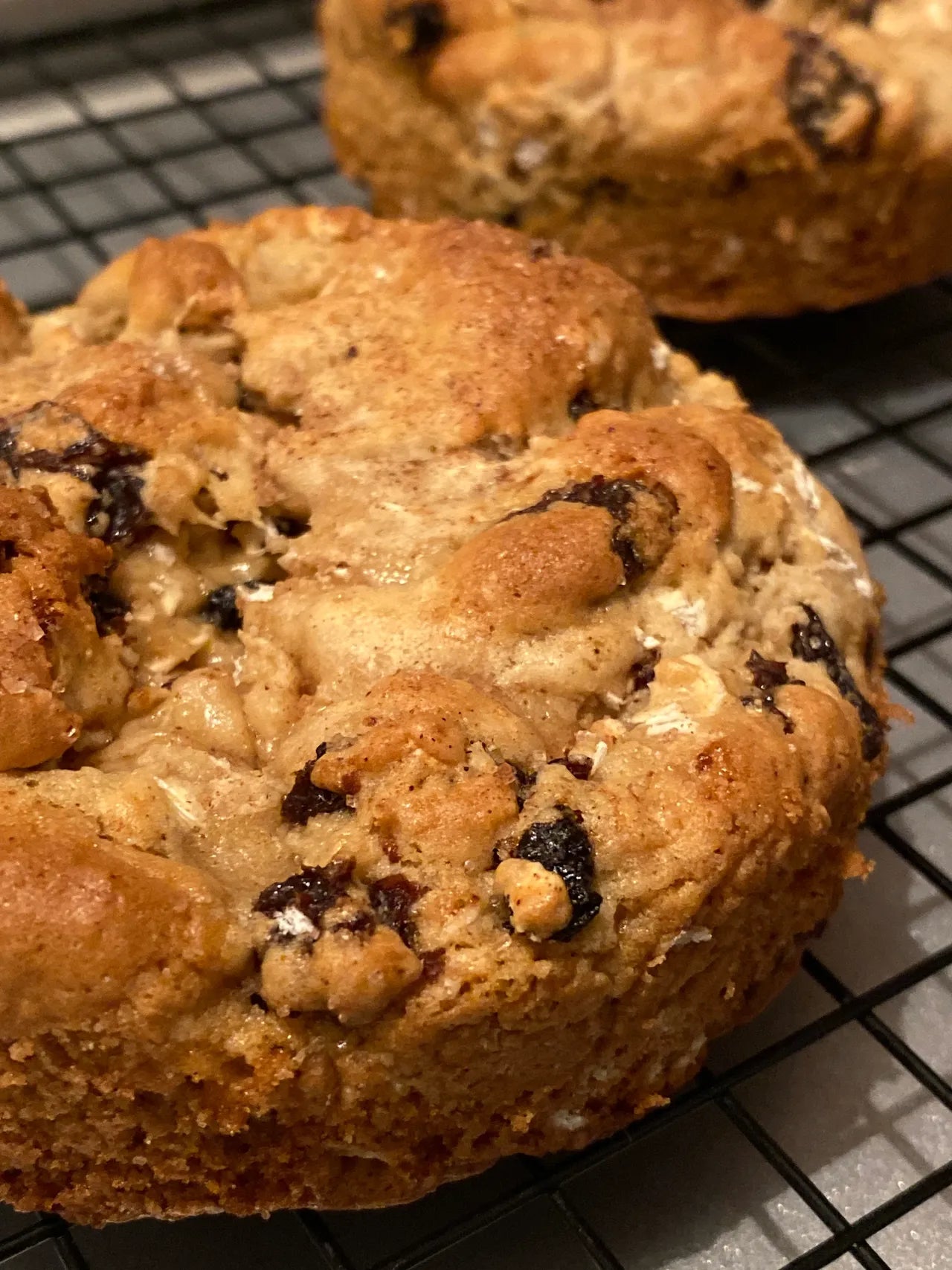 OATMEAL RAISIN (6) COOKIES